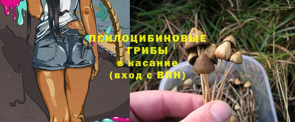 метадон Абаза