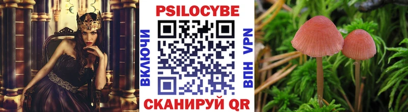 Галлюциногенные грибы Psilocybe  Новотроицк 